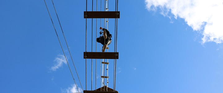 gO aPe