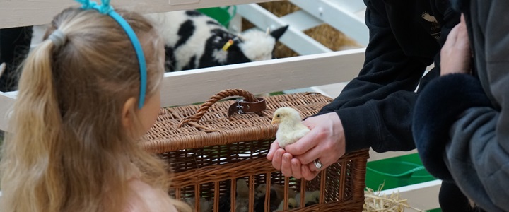 BaTTerSEa PoWeR StaTIon EaSTer fArM