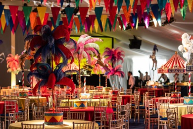 Circus Spectacular